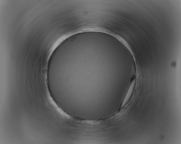 X0000111641005200907311247