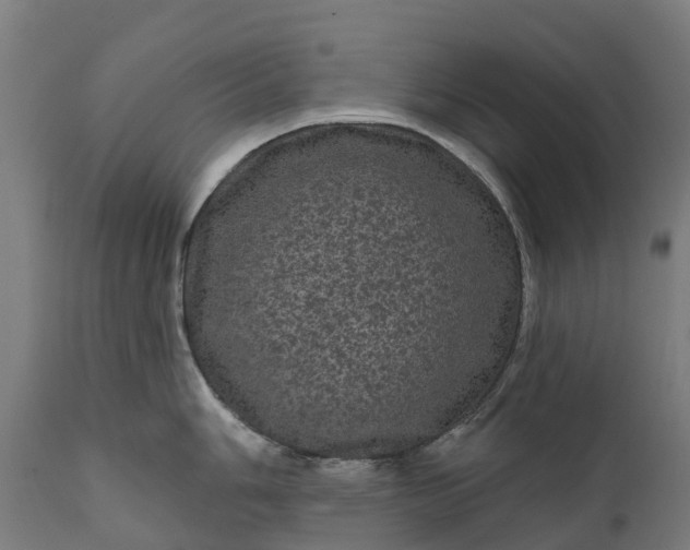 X0000111641006200907311247