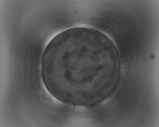 X0000111641007200907311247