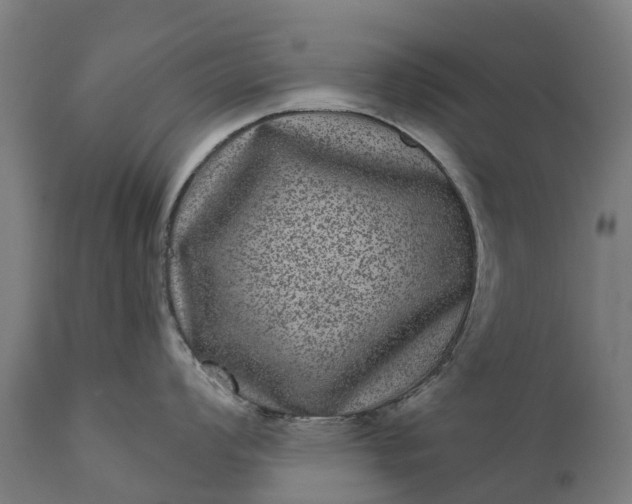 X0000111641008200907311247