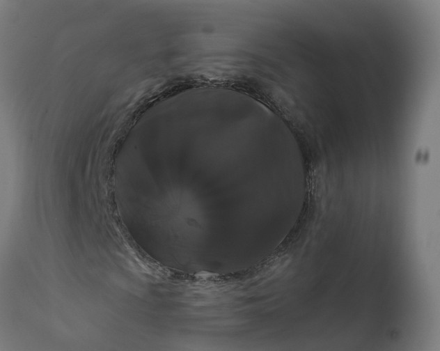 X0000111641009200907311246