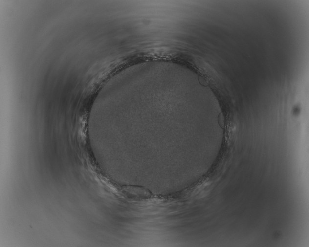 X0000111641010200907311246