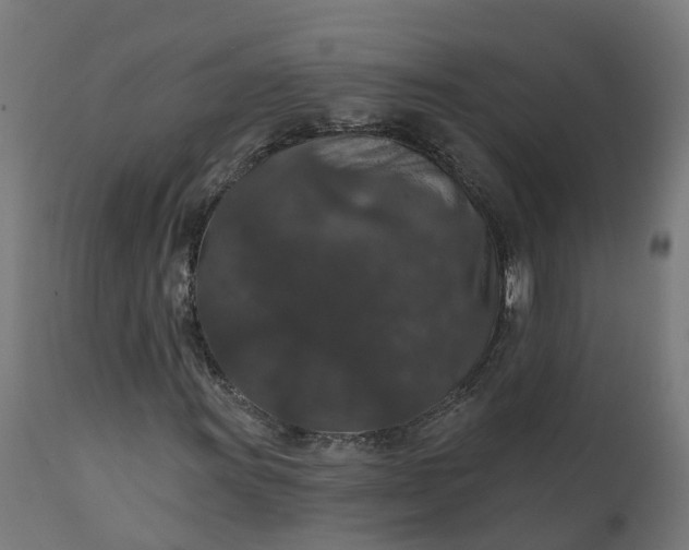 X0000111641011200907311246