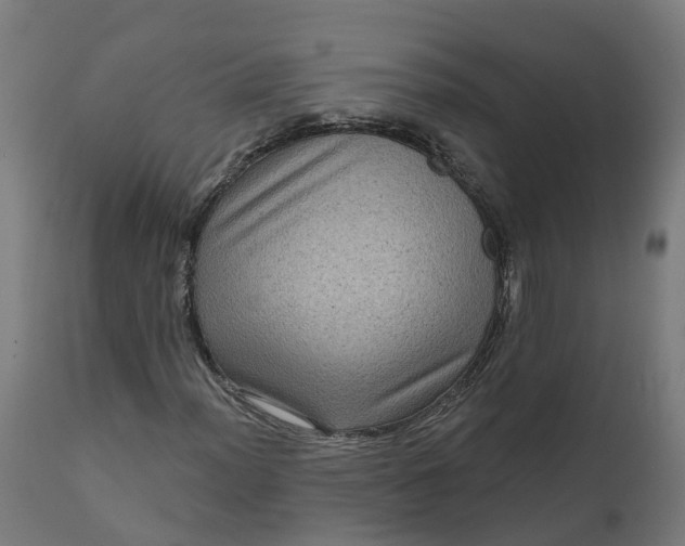 X0000111641012200907311247