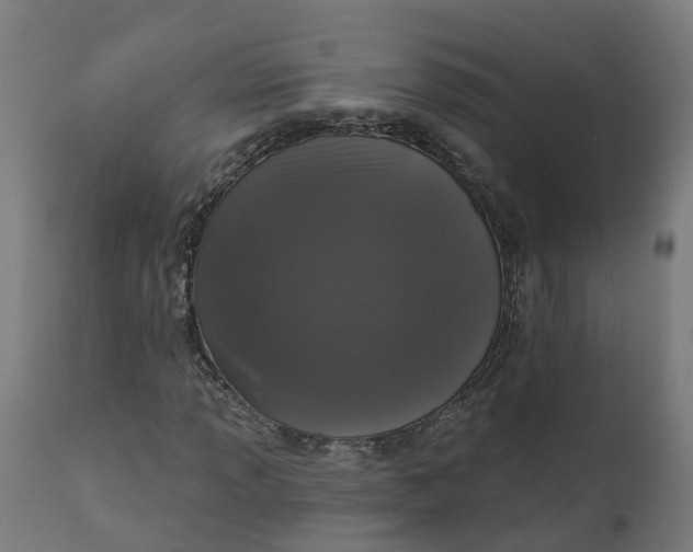 X0000111641013200907311247