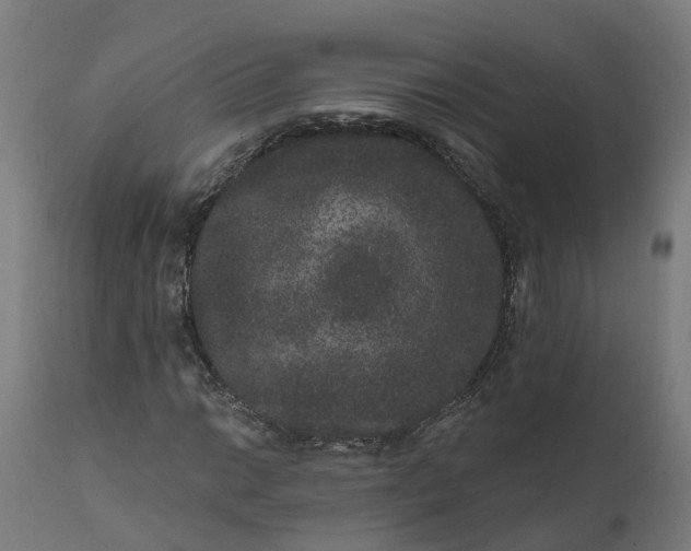 X0000111641014200907311247