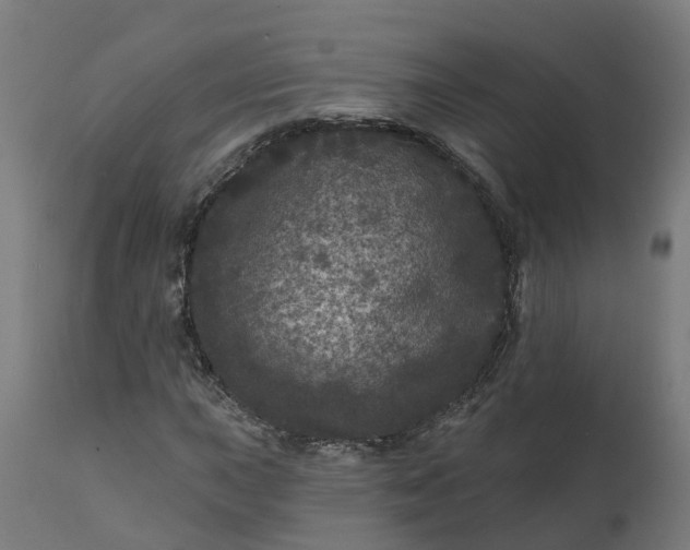 X0000111641015200907311247