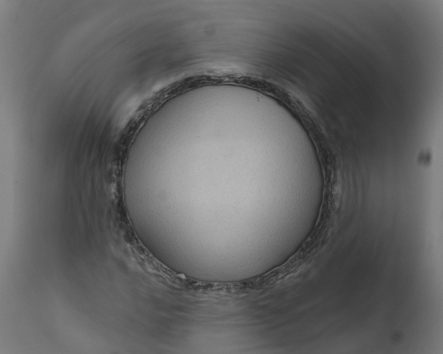 X0000111641016200907311247