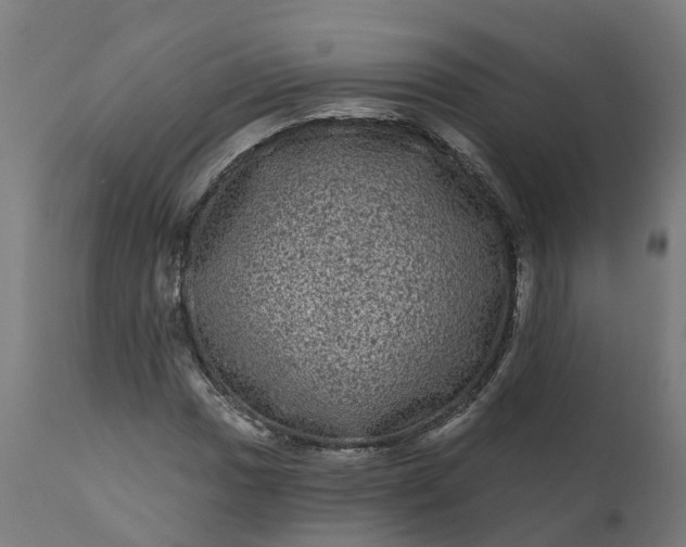 X0000111641017200907311247