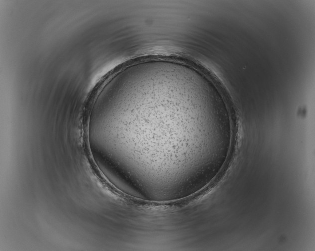 X0000111641018200907311247