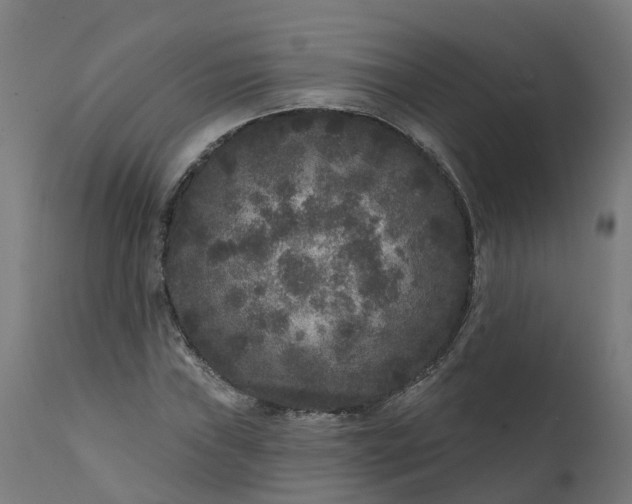 X0000111641019200907311247