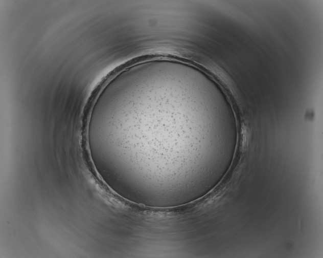 X0000111641020200907311247