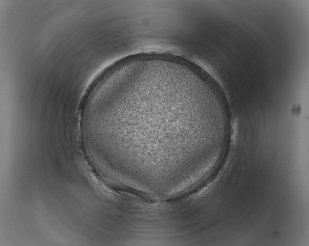 X0000111641021200907311247