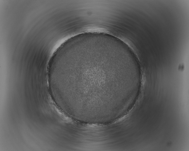 X0000111641022200907311247