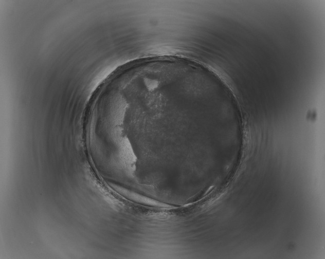 X0000111641023200907311247