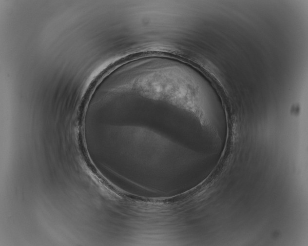 X0000111641024200907311247