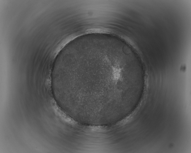 X0000111641025200907311247