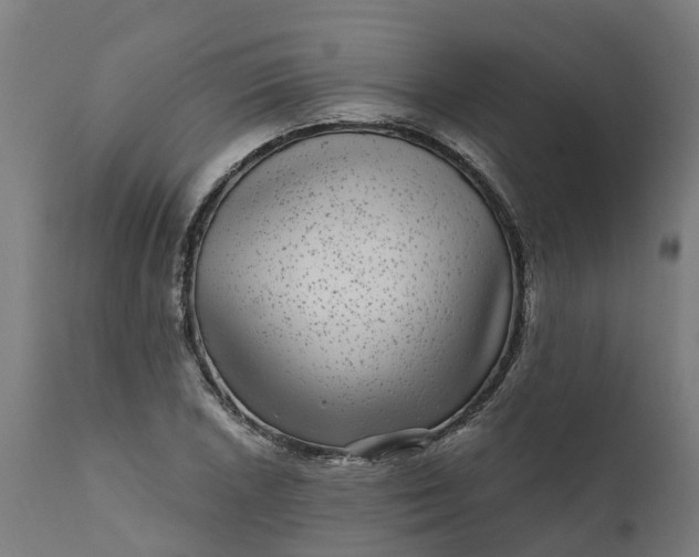 X0000111641026200907311247