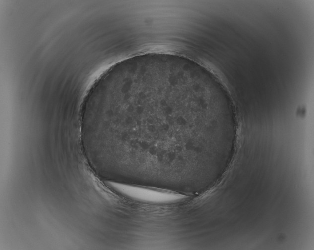 X0000111641027200907311247