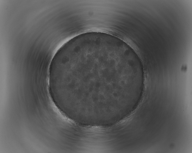 X0000111641028200907311247