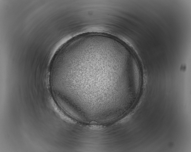 X0000111641029200907311247