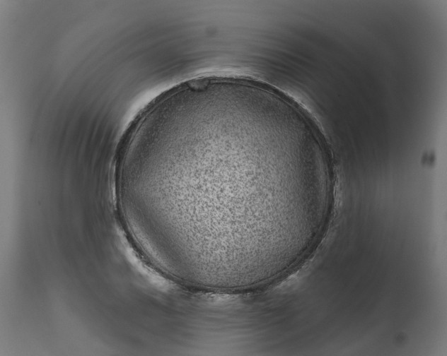 X0000111641030200907311247