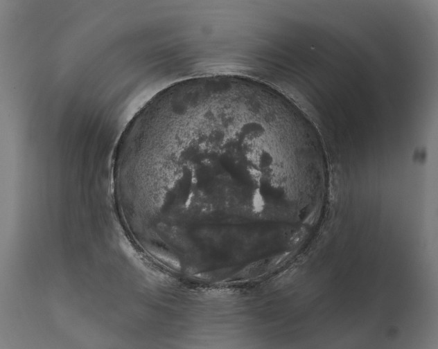 X0000111641031200907311247