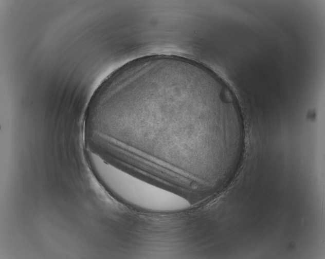 X0000111641032200907311247