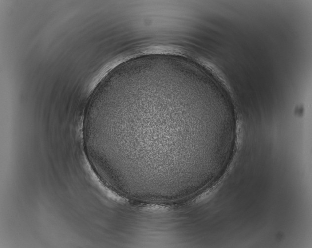 X0000111641033200907311247