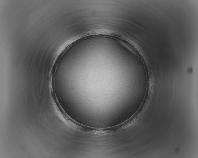 X0000111641034200907311247