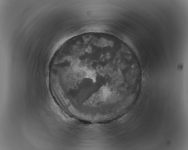 X0000111641035200907311247