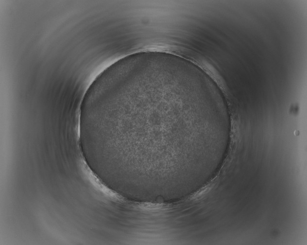 X0000111641036200907311247