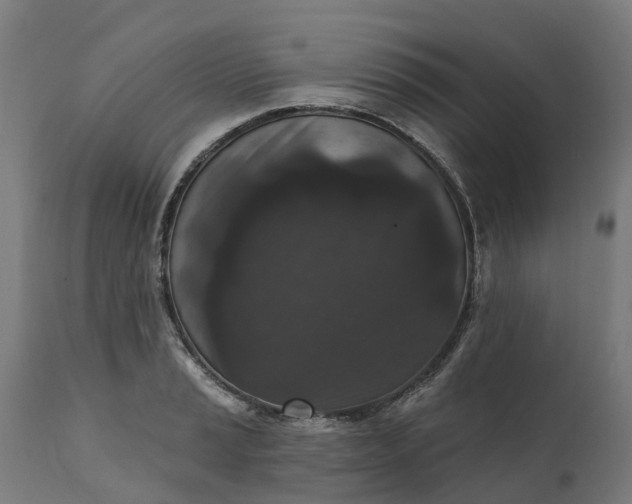 X0000111641037200907311247