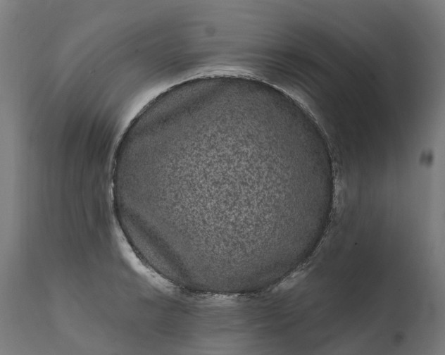 X0000111641038200907311247