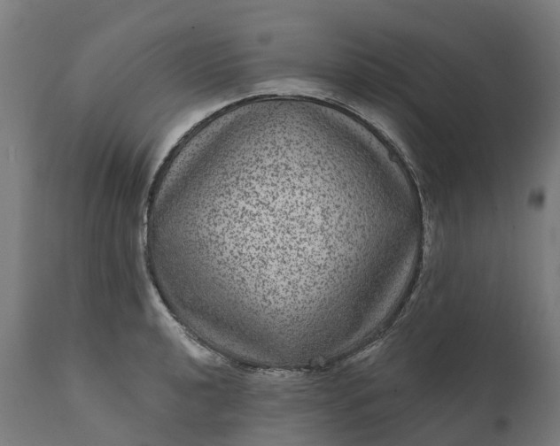 X0000111641040200907311247