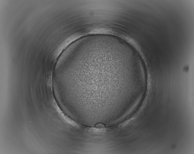 X0000111641041200907311247