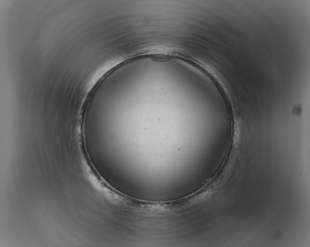 X0000111641042200907311247