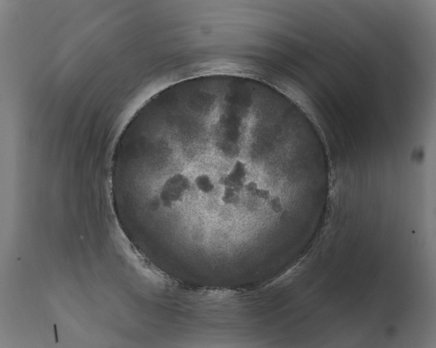 X0000111641043200907311247