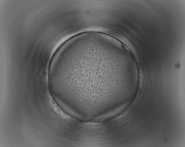 X0000111641044200907311247