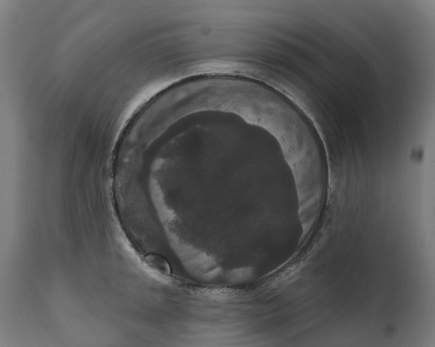 X0000111641045200907311247