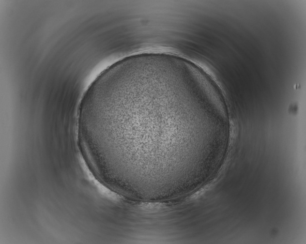 X0000111641046200907311247