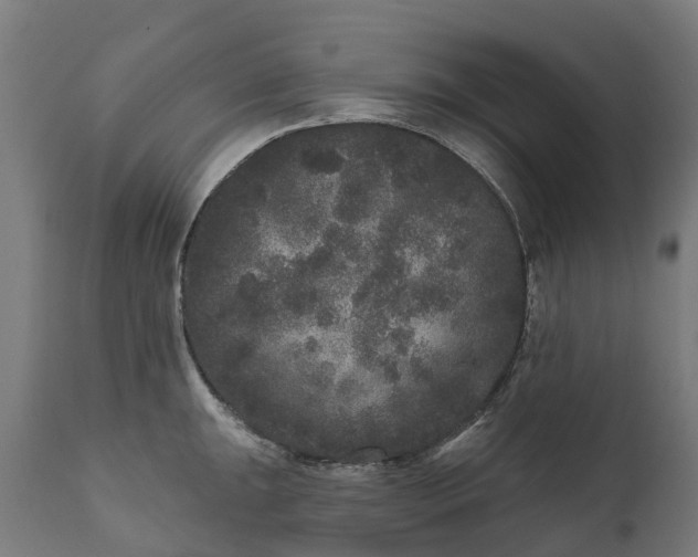 X0000111641047200907311247