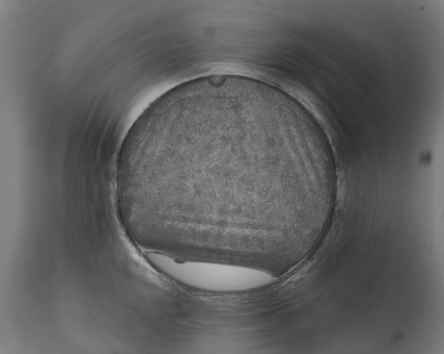 X0000111641048200907311247