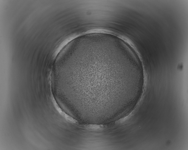 X0000111641049200907311247