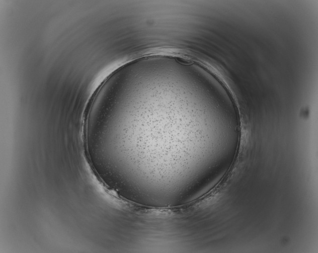 X0000111641050200907311247