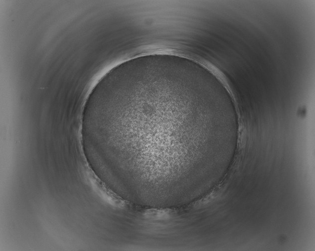 X0000111641051200907311247