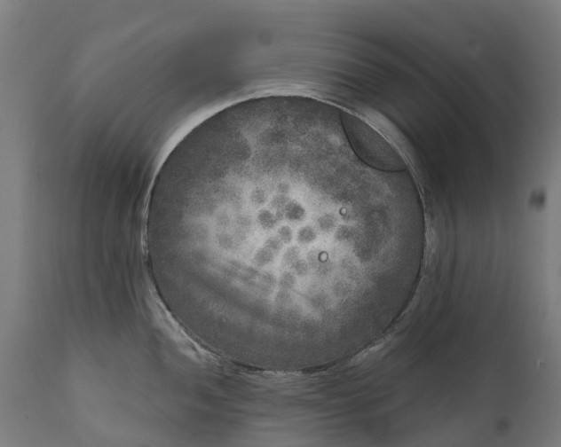 X0000111641052200907311247