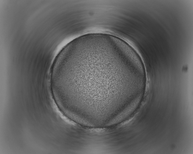 X0000111641053200907311247