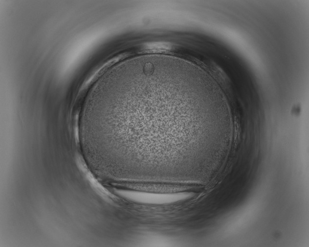 X0000111641054200907311247