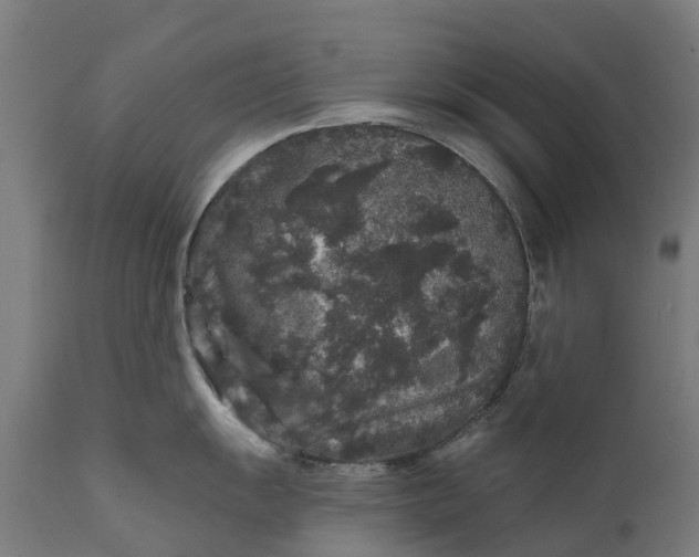 X0000111641055200907311247